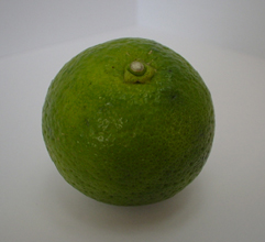 薬味のチカラ